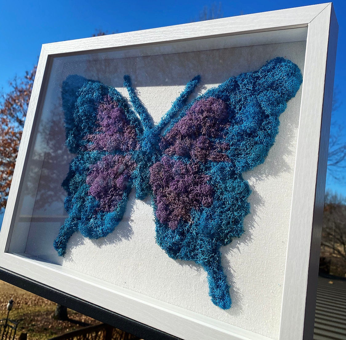 Butterfly Moss Art 11x14 Shadow Box - Etsy