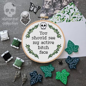 Deberías ver mi cara de perra activa Patrón de punto de cruz / Patrón de bordado subversivo / Cara de perra en reposo RBF Costura (Descarga PDF)