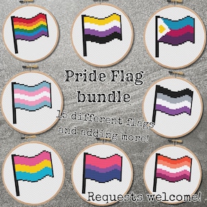 May include: A collection of 15 different pride flags in embroidery hoops. The flags are all pixelated and include the rainbow, transgender, non-binary, asexual, lesbian, bisexual, pansexual, and more. The text "Pride Flag bundle" is at the top of the image, and the text "15 different flags and adding more! Requests welcome!" is at the bottom of the image.