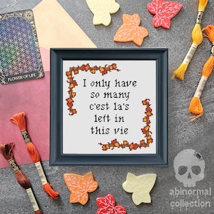 Può includere: Un ricamo a punto croce incorniciato con uno sfondo bianco e ricamo marrone e arancione. Il testo recita "I only have so many c'est la's left in this vie".