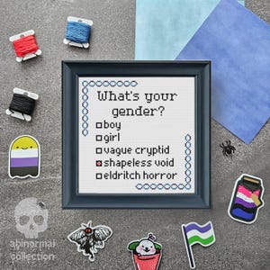 May include: A black framed cross-stitch with white thread. The cross-stitch says "What's your gender?" with a list of options: "boy", "girl", "vague cryptid", "shapeless void", and "eldritch horror". The option "shapeless void" is marked with a red X.