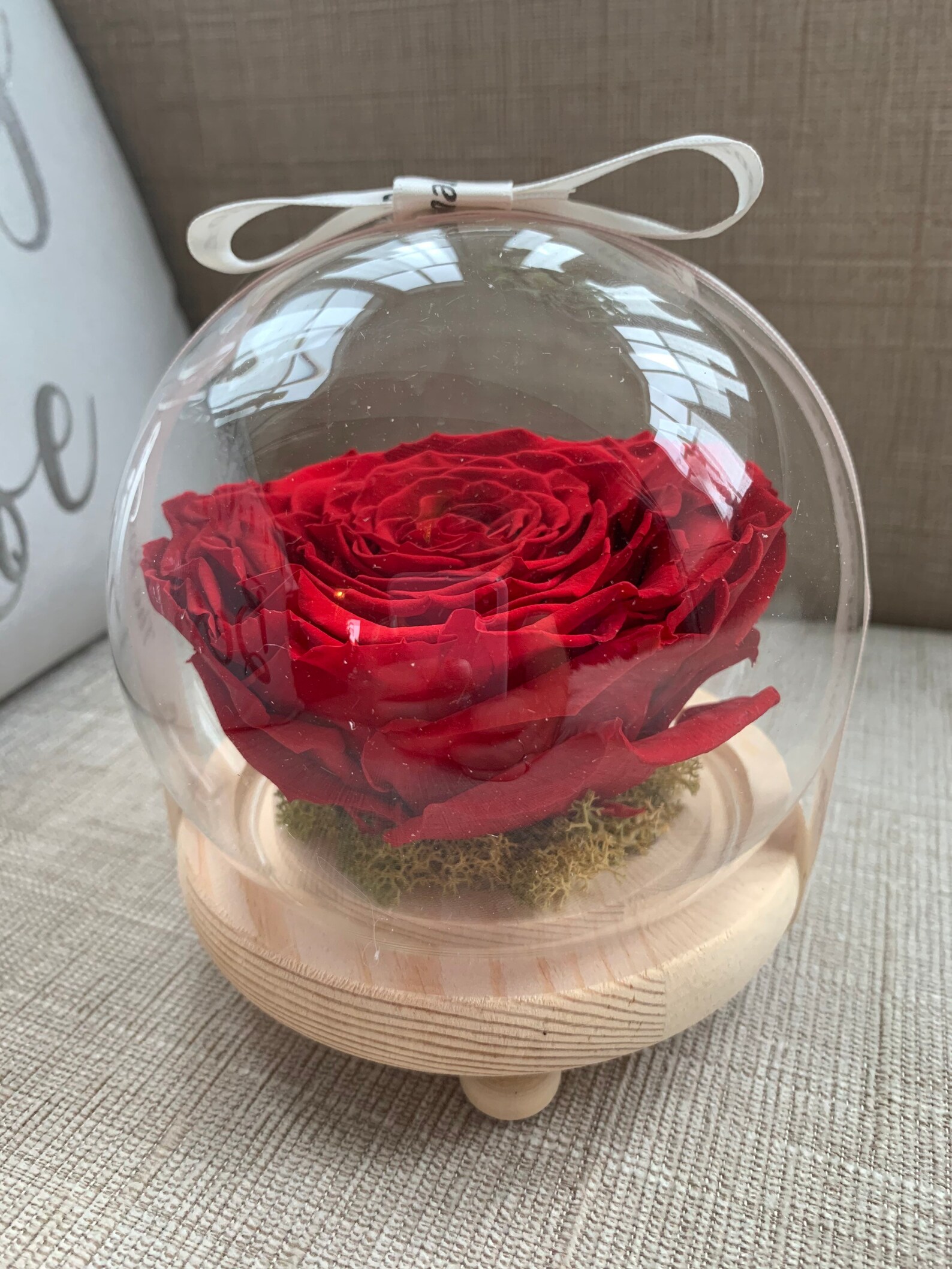 Extra Large Real Rose Preserved Eternal in Glass Dome Etsy