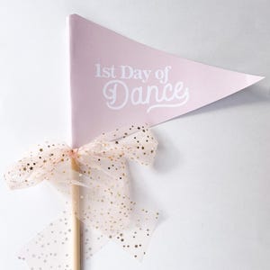 May include: A pink pennant with the text "1st Day of Dance" in white. The pennant is attached to a wooden stick with a pink tulle bow with gold glitter stars.
