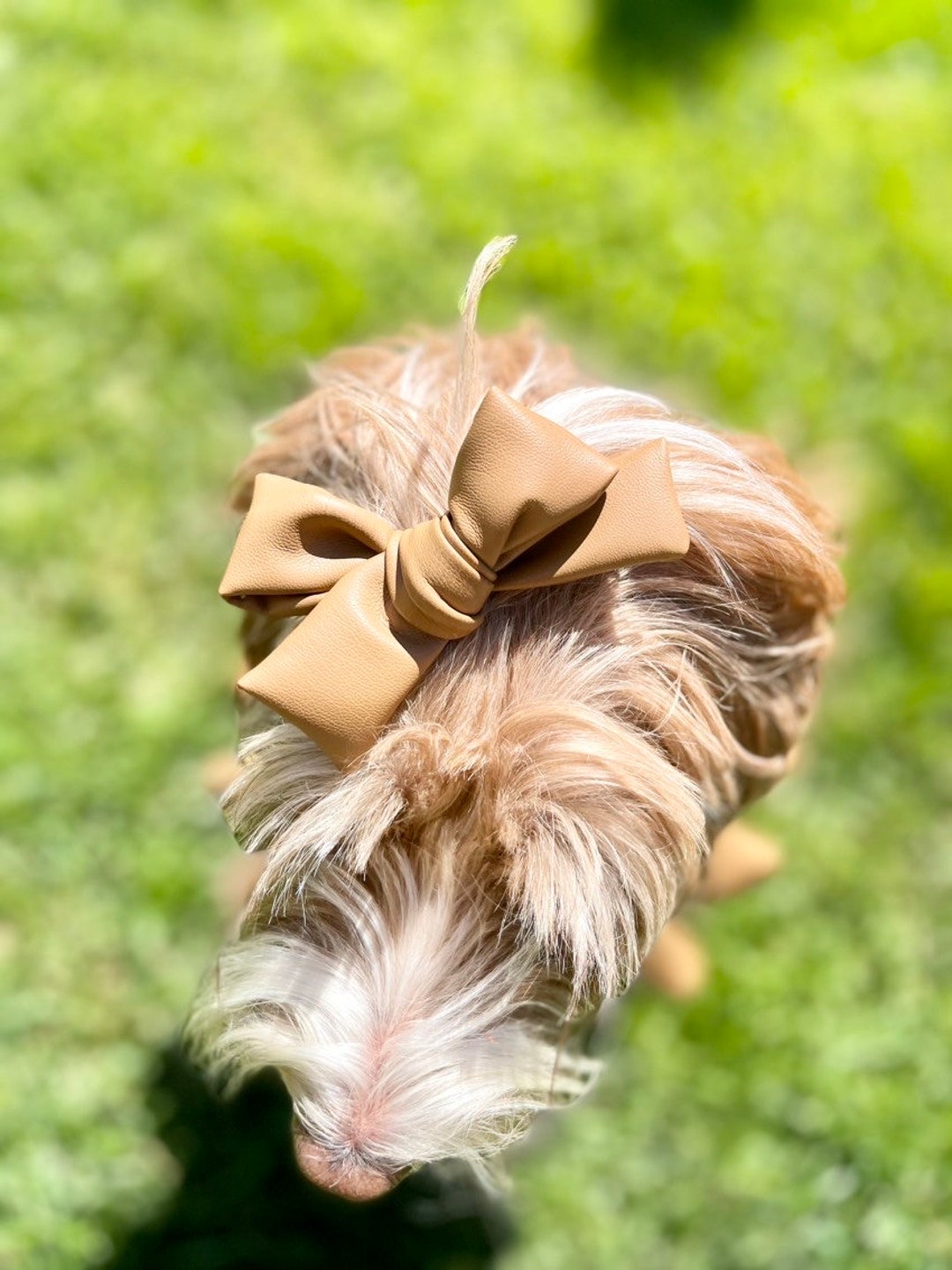 Varsity Faux Leather Alligator Clip Dog Hair Bow Dog Hair Etsy