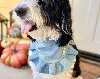 Wren | snap on dog bandana, fall dog bandana, Autumn dog bandana, ruffle trim dog bandana, girl dog bandana, denim dog bandana, blue dog ban