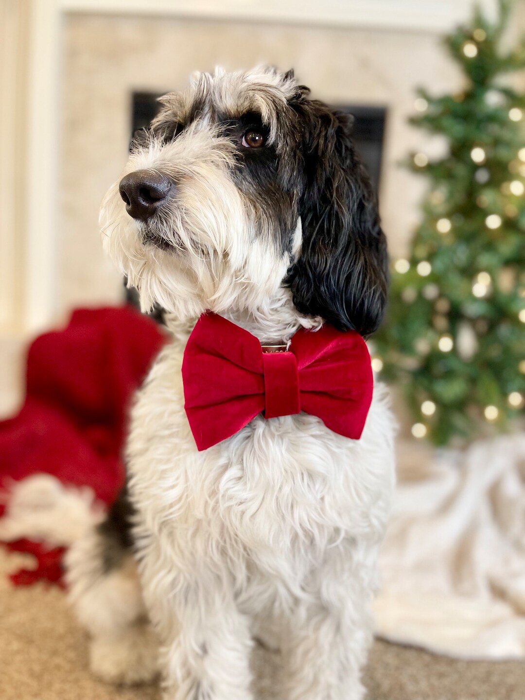 Howliday Joy Slip on Collar Bow Tie Collar Bow Christmas Etsy