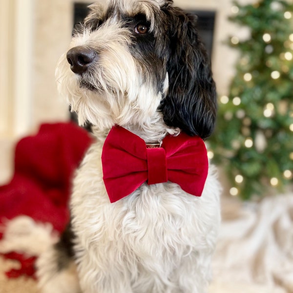 Howliday joy | slip on collar bow tie, collar bow, Christmas bow tie,holiday dog bow,velvet collar bow, dog bow tie, boy dog,red dog bow tie