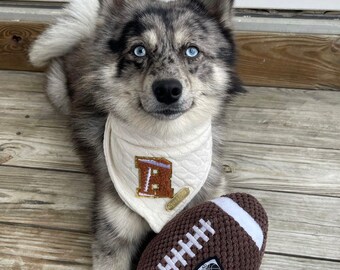 Varsity Letter || snap closure dog bandana, football dog bandana, monogram dog bandana, fall dog bandana, varsity letter dog bandana