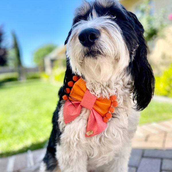 Palm Beach | collar sailor bow, slip on collar bow, collar bow, summer collar bow, stylish collar bow, retro dog bow, boho sailor bow