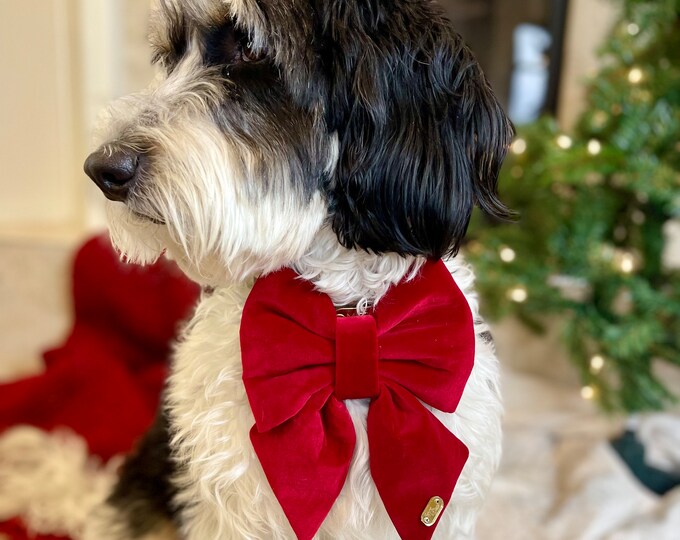 Hope Bow  Collar