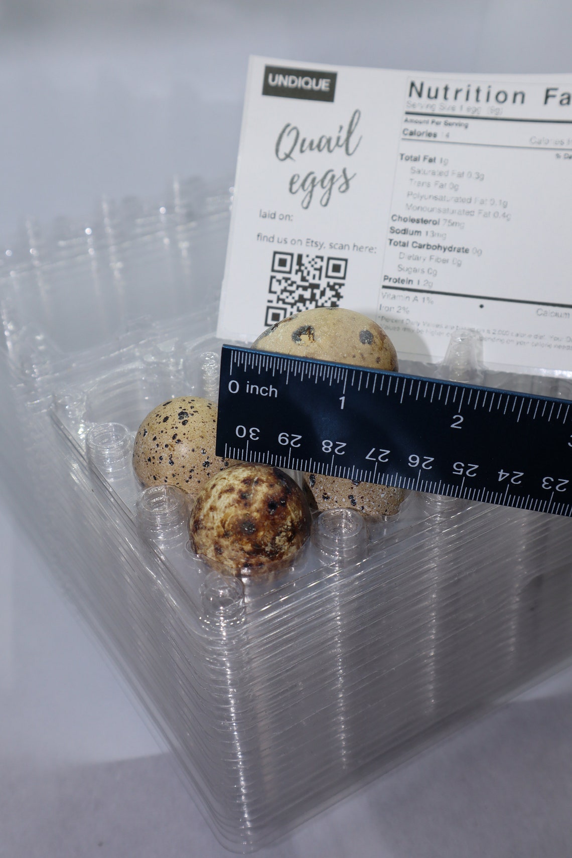 JUMBO QUAIL EGG Carton 50 Cartons sized for 12 a dozen Etsy