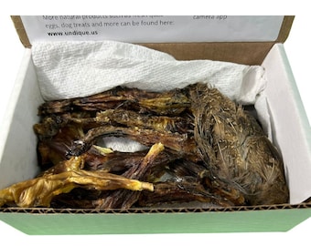 Undique Bird Dog Training Kit Quail Hunting