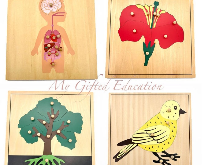 DIGITAL Printable PDF Download to Make Montessori Botany Felt - Etsy