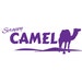 Scrappy Camel