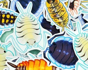 Porcellio Isopod Vinyl Stickers