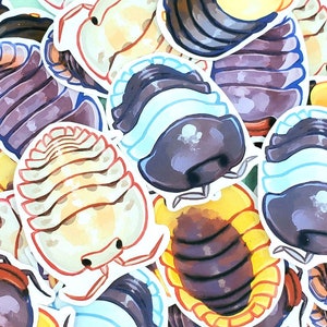 Cubaris Isopod Vinyl Stickers