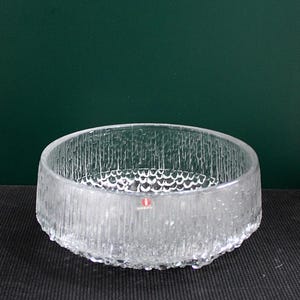 May include: A clear glass bowl with a textured, ice-like exterior. The bowl has a round shape with a thick rim and a textured interior base. The bowl is likely for serving or display.