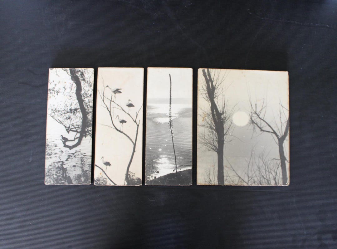 Peter Merom Wildlife Scenes, Black and White Photographs, Israeli Vintage ...