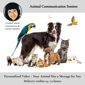 Peut inclure: Session de communication animale avec le portrait d'une personne, un ara bleu et jaune, un chien brun et blanc, un chat gris, un furet, un lapin, un chiot brun, un chaton orange, un bocal avec deux poissons rouges et un petit rongeur.