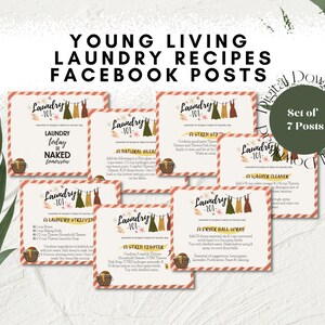 May include: A digital download set of seven laundry recipe Facebook posts. Each post has a cream background with a red and white striped border, and a clothesline graphic. The text provides laundry tips and recipes.