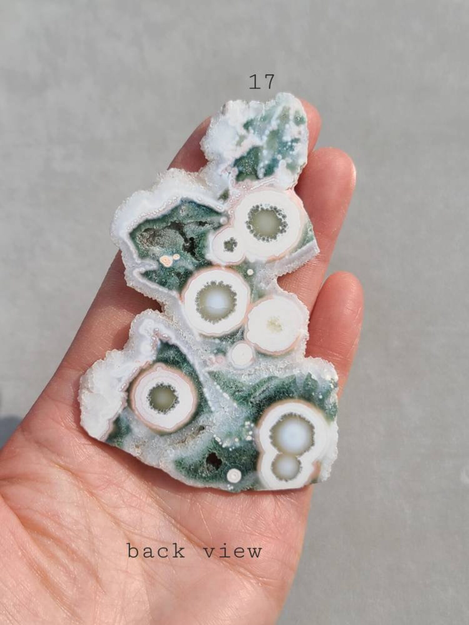 Old Stock Ocean Jasper Slab White Ocean Jasper Druzy Raw Etsy