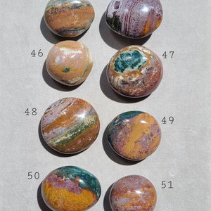 Pu&ograve; includere: Sette pietre levigate di forma ovale con diversi motivi di marrone, verde e bianco. Le pietre sono numerate da 44 a 51.