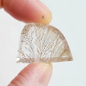 Dendritic Quartz Pocket Stone: Free Form Crystal