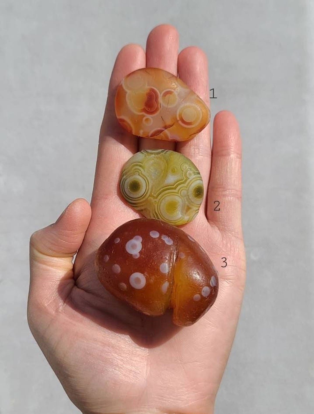 Gobi Desert Agate Tumble Stones Orbicular Eye Agate Orange Etsy