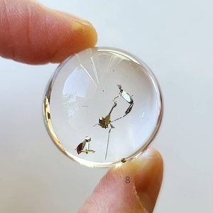 Pyrite in Smoky Quartz Sphere: Wealth & Protective Crystal