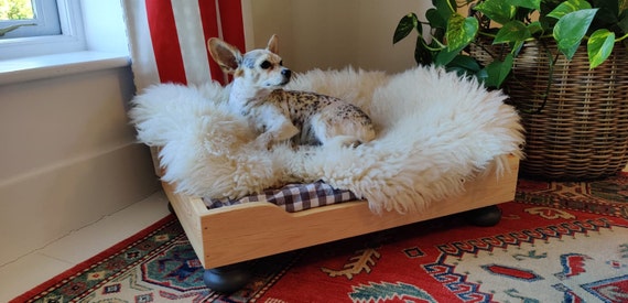 Natural 2025 dog beds