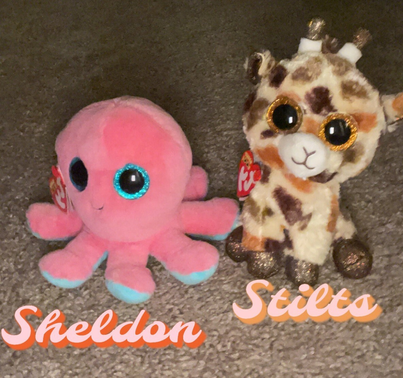 Sheldon the Octopus Stilts the Giraffe Ty New Release Etsy