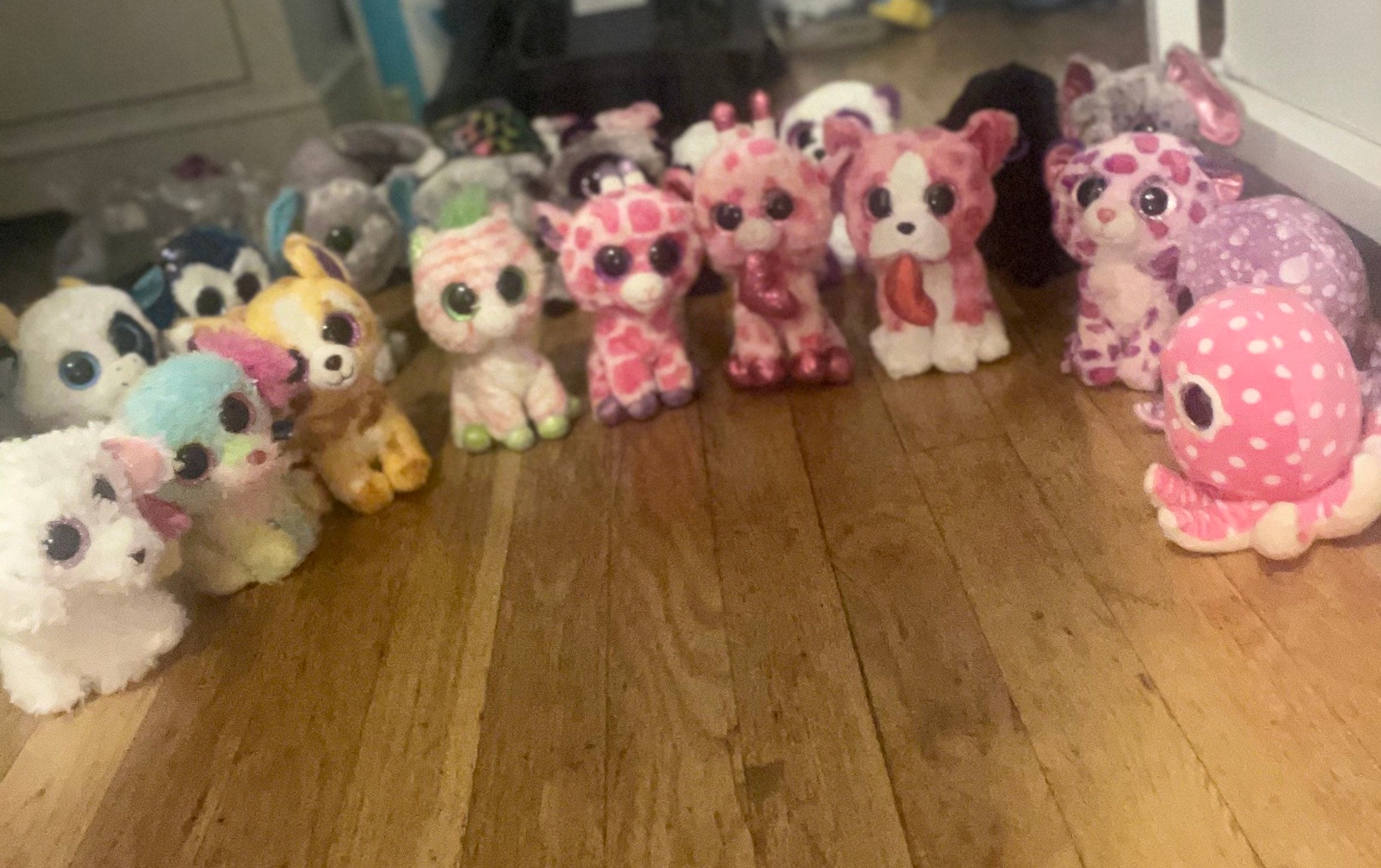 Nibbles Beanie Boo for sale 73 ads for used Nibbles Beanie Boos