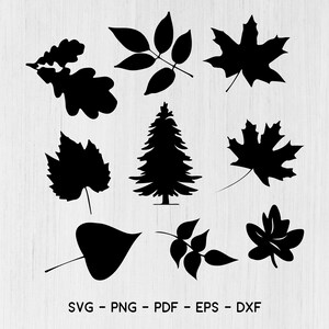 Pacote Svg de folhas de outono - 10 designs, Svg de outono, Svg de padrão de folha de outono, Svg de folhas de outono, SVG de folha, SVG de folhas, Svg de outono, Svg de folha de bordo