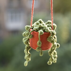 Puede incluir: Una planta suculenta de crochet en una maceta de terracota colgada de una cuerda. La planta tiene hojas verdes y la maceta es de color naranja rojizo.