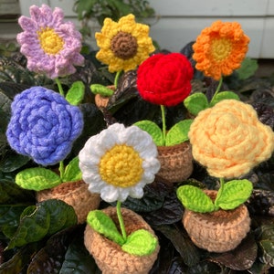 Crochet Succulents Potted Plants Crochet Flower Decoration Knitted Flower  Car Decoration 