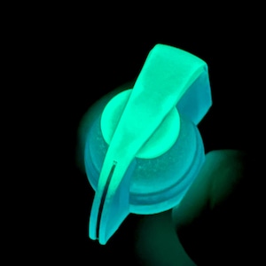 Op de afbeelding: Een felgroene en blauwe plastic schakelaar met een ronde, verhoogde knop. De schakelaar licht in het donker.