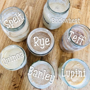 SOURDOUGH Starters, Organic, SPELT, Rye, Buckwheat, Teff, Quinoa, Barley OR Lupini