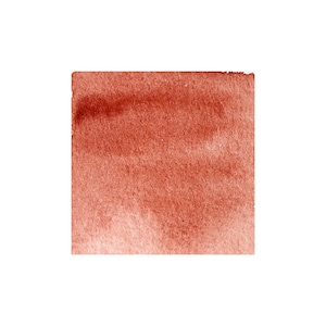 Burnt sienna. Professional quality fine watercolor paint