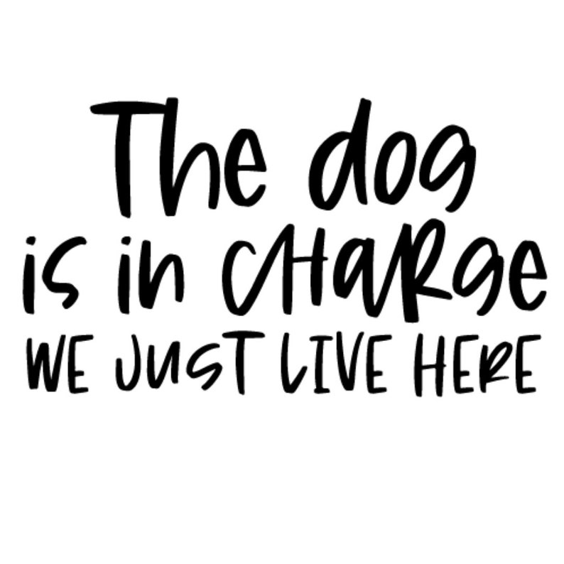 Download Art Collectibles Clip Art The Dog Is In Charge We Just Live Here Svg Doormat Svg Door Mat Svg Welcome Mat Svg Front Door Mat Doormat Svg File Door Mat Dog