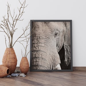 Elephant Print Elephant Wall Art Printable Safari Animal - Etsy