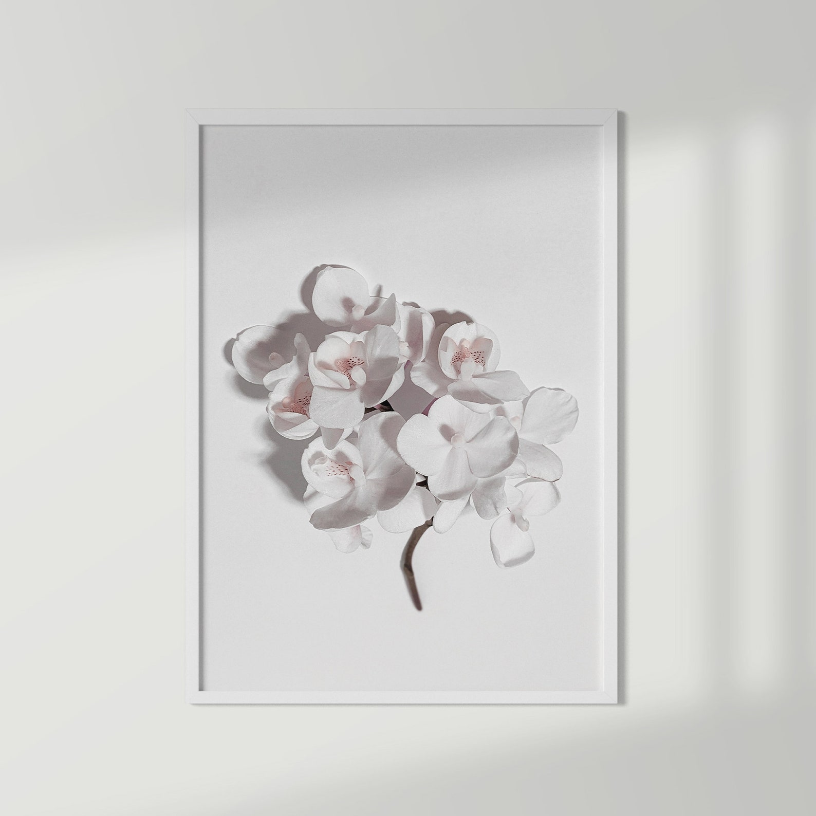 White Orchid Print Orchid Wall Art Floral Wall Art Etsy