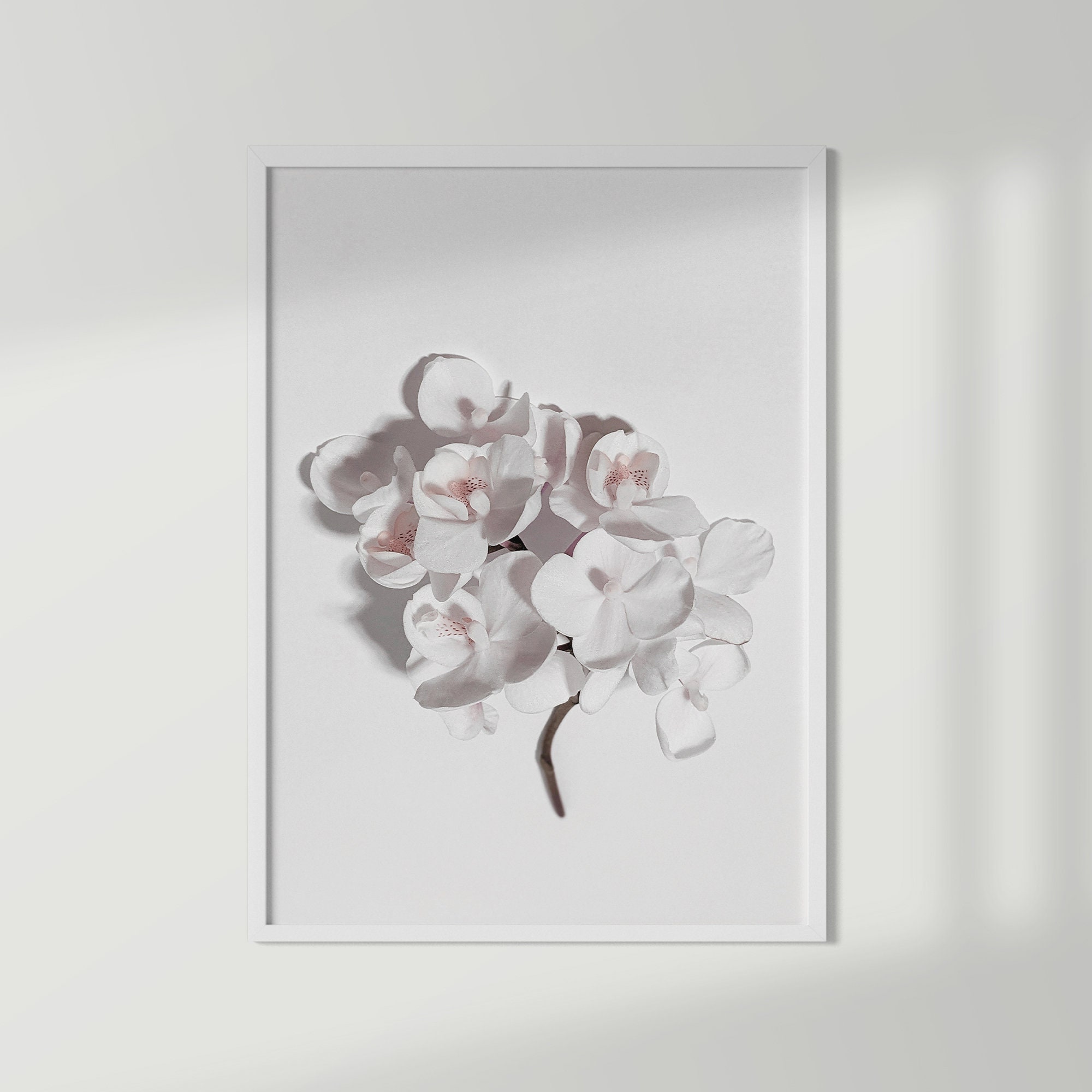 White Orchid Print Orchid Wall Art Floral Wall Art Etsy
