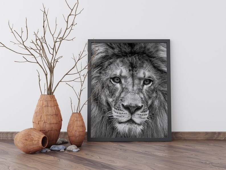 Black and White Lion Print Lion Wall Art Safari Animal Etsy