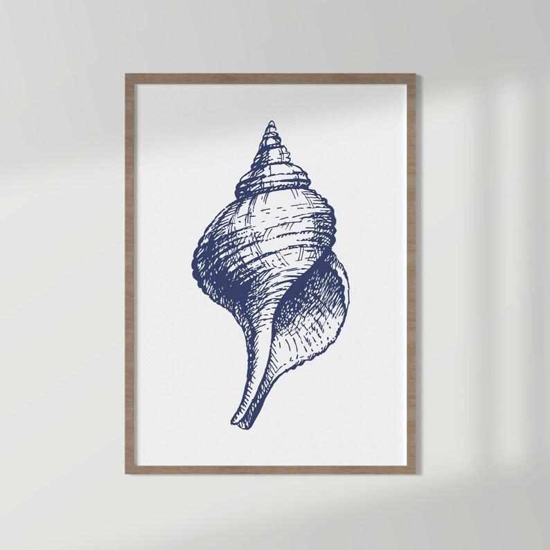 Set of 3 Sea Shell Prints Navy Blue Coastal Wall Art Set Etsy