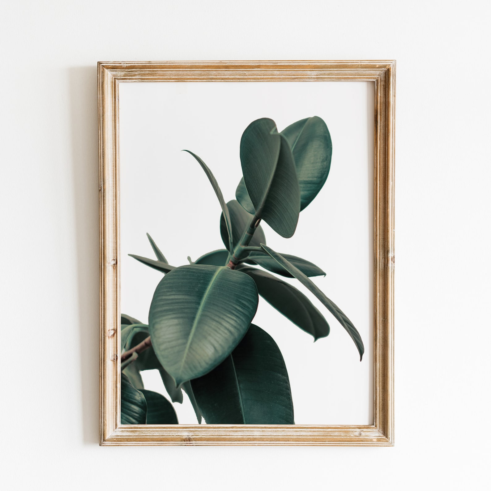 Tropical Plant Print Tropical Plant Wall Art Tropical Leaf Etsy