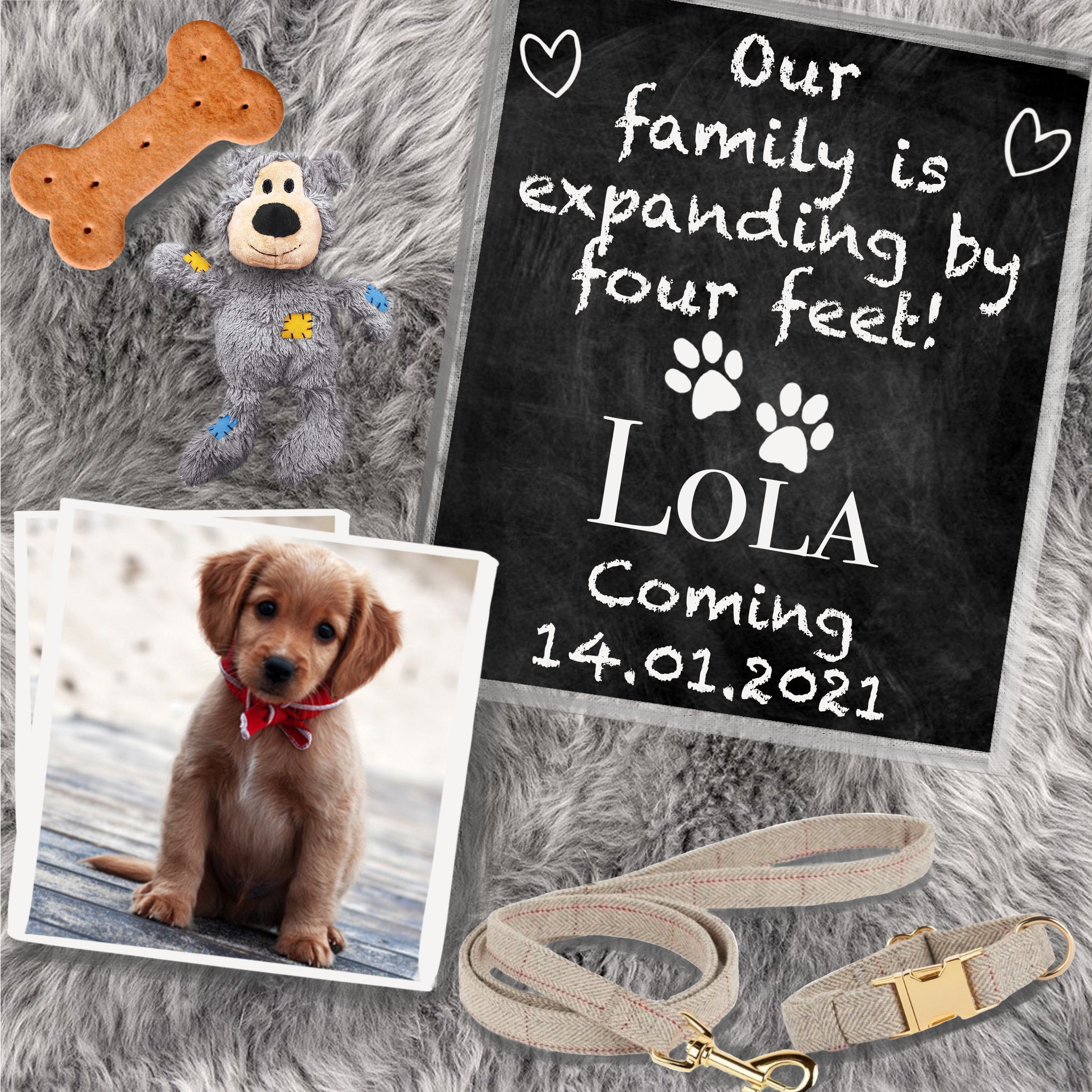 Puppy Announcement Instagram Social Media Reveal l Etsy