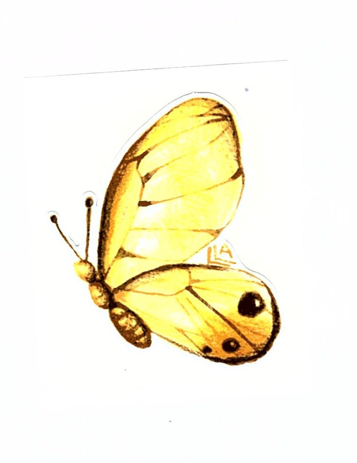 Yellow Butterfly Glossy Vinyl Sticker Etsy