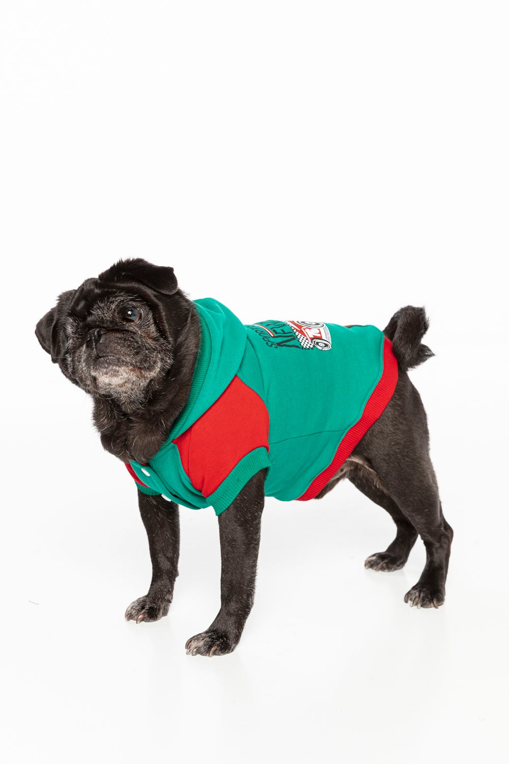 Sizes XXS1 XXL7Dog clothesdog clothes for small dogs Etsy