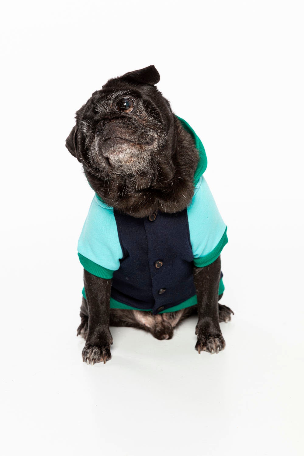 Sizes XXS1 XXL7Dog clothesdog clothes for small dogs Etsy