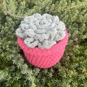 Crochet Succulent
